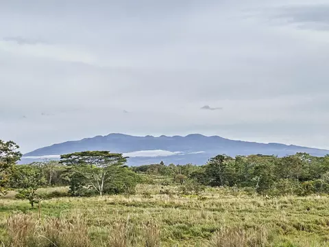 17-4800 South Rd, Kurtistown, HI 96760