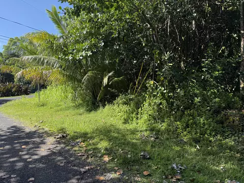 15-1144 Amau Rd, Keaau, HI 96749