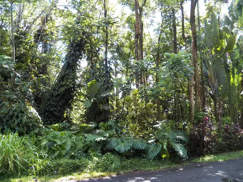 25 Th Ave, Keaau, HI 96749