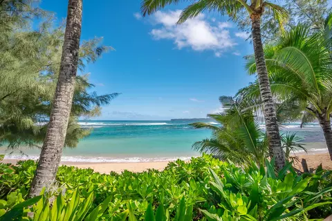 4400 Oneone Rd, Hanalei, HI 96714 photo 21