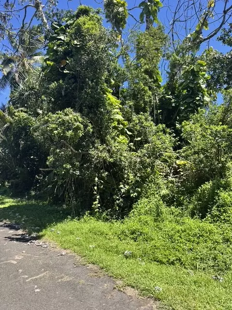 Opelu St, Pahoa, HI 96778