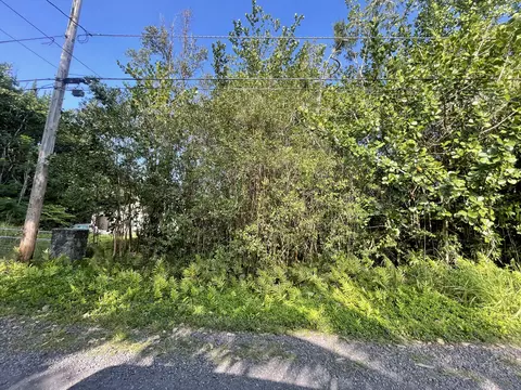 15-1423 12th Ave, Keaau, HI 96749