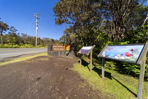 Wright Rd, Volcano, HI 96785 photo 3
