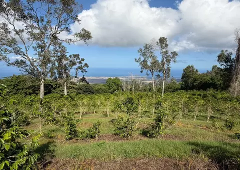 73-4245 Hawaii Belt Rd, Kailua Kona, HI 96740