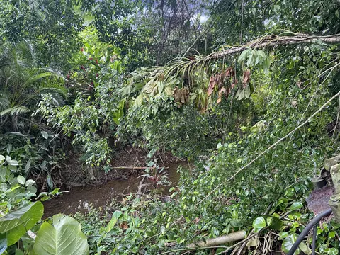 View/Area - 6335 Opaekaa Rd # -C, Kapaa, HI 96746 photo 1 of 1
