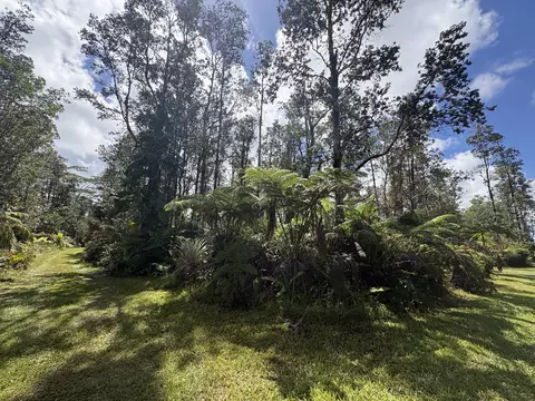 Road 3, Mountain View, HI 96771 photo 9