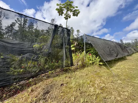 Road 3, Mountain View, HI 96771 photo 4