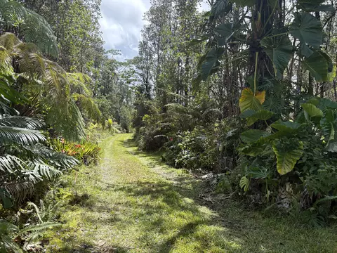 Road 3, Mountain View, HI 96771 photo 8