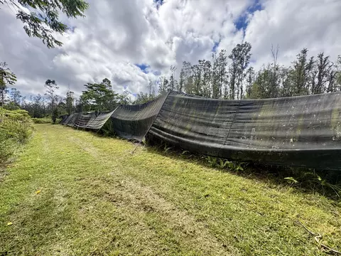Road 3, Mountain View, HI 96771 photo 5