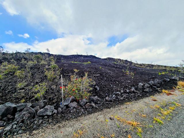 Undisclosed, Ocean View, HI 96737
