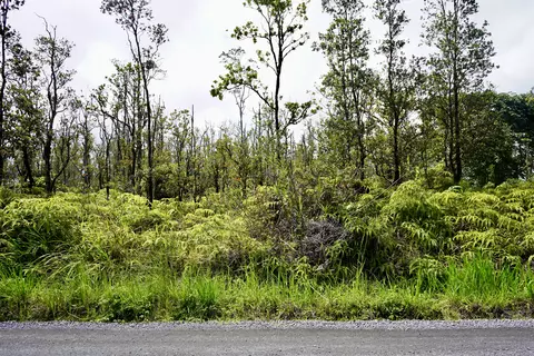 11-2534 Kaleponi Dr, Volcano, HI 96785 photo 5