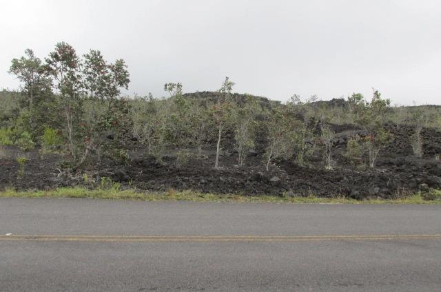 King Kamehameha Blvd, Ocean View, HI 96737