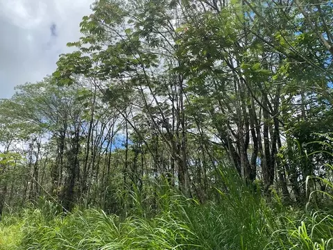 14-3525 Pikake Rd, Pahoa, HI 96778