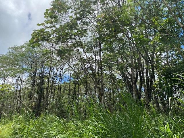 14-3525 Pikake Rd, Pahoa, HI 96778