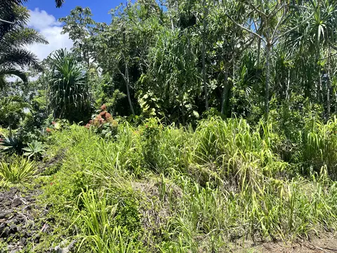 Oopu St, Pahoa, HI 96778