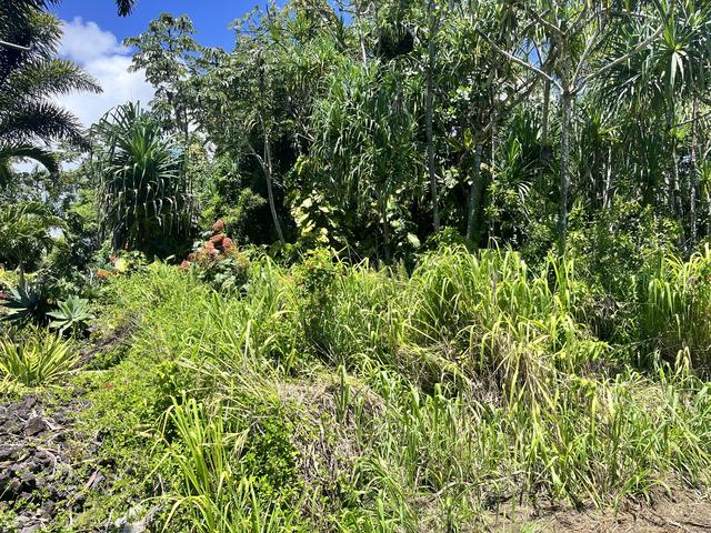 Oopu St, Pahoa, HI 96778
