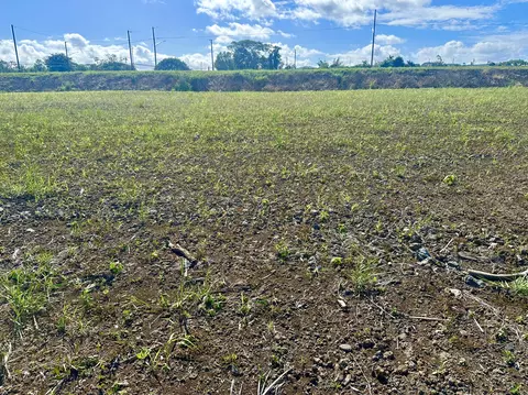 5130 Olali Pl, Hilo, HI 96720