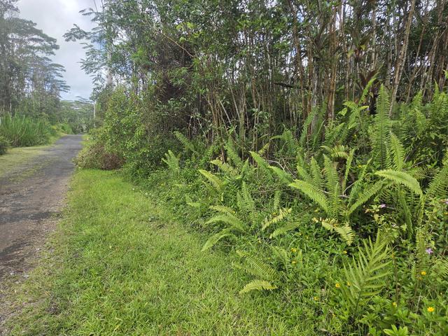 14-3362 Paradise Rd, Pahoa, HI 96778