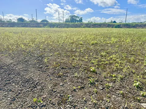 5146 Olali Pl, Hilo, HI 96720