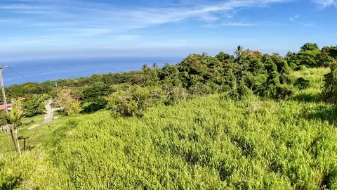 81-5534 Alaula Rd, Kealakekua, HI 96750