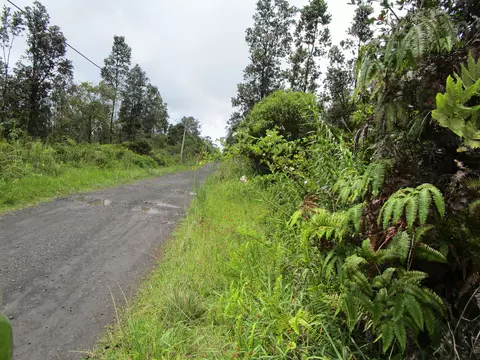 Alaula St, Volcano, HI 96785 photo 3