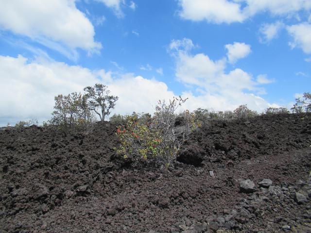 Lurline Ln, Ocean View, HI 96737