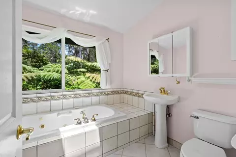 11-3849 Ruby Ave, Volcano, HI 96785 photo 9