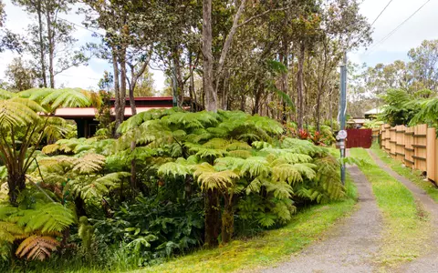 Mokuna St, Volcano, HI 96785 photo 6