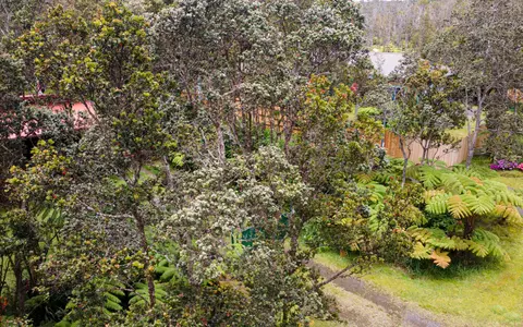 Mokuna St, Volcano, HI 96785 photo 11