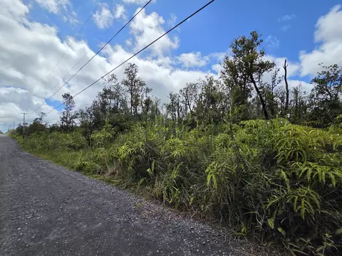 Leila Rd, Volcano, HI 96785 photo 6