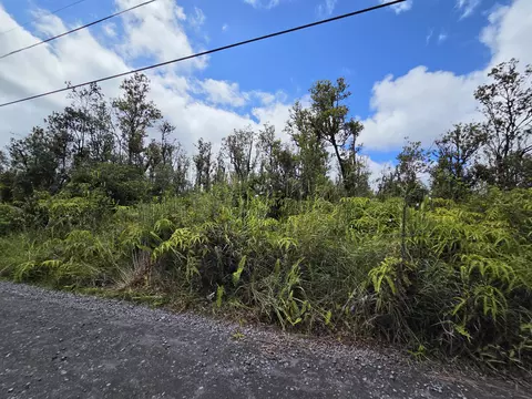 Leila Rd, Volcano, HI 96785 photo 5