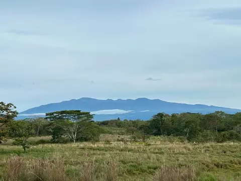 South Rd, Kurtistown, HI 96760