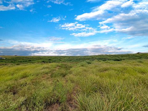 93-4638 Lio Lani Rd, Naalehu, HI 96772