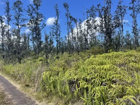 Road 6, Kurtistown, HI 96760