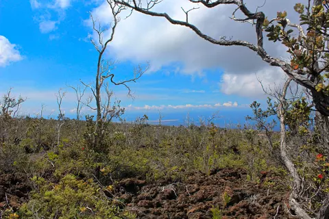 Koa Ln, Ocean View, HI 96737 photo 9