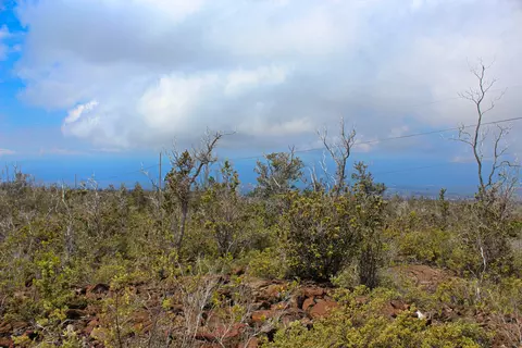 Koa Ln, Ocean View, HI 96737 photo 10