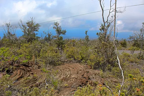Koa Ln, Ocean View, HI 96737 photo 6