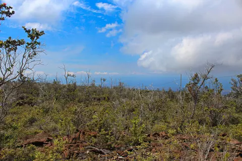 Koa Ln, Ocean View, HI 96737 photo 9