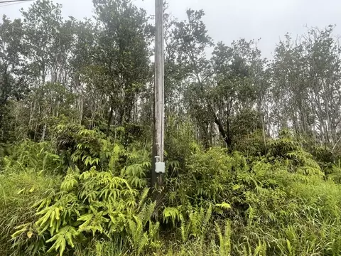 Makoa Rd, Volcano, HI 96785 photo 1