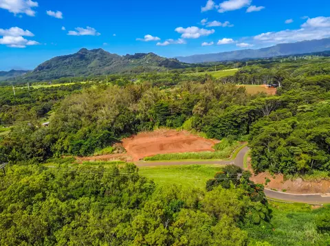 kana st, Kapaa, HI 96746 photo 2