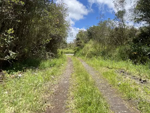 Road 10, Mountain View, HI 96771 photo 1