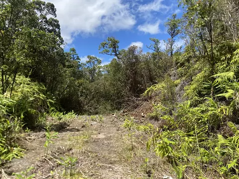 Road 10, Mountain View, HI 96771 photo 2