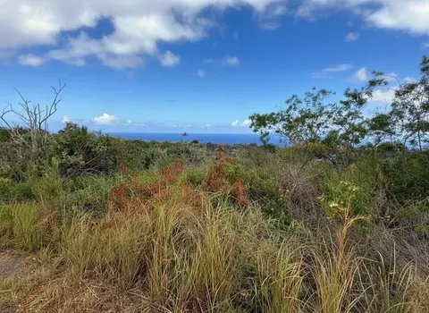 Maile Dr, Ocean View, HI 96737 photo 3