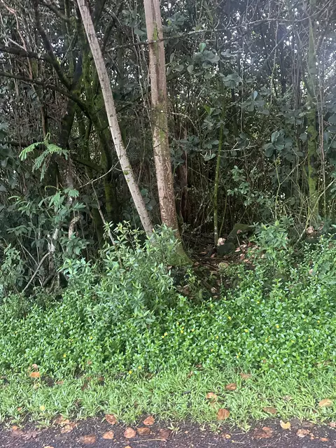 23 Rd Ave, Keaau, HI 96749