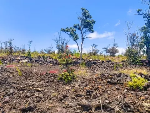 Pineapple Pkwy, Ocean View, HI 96737