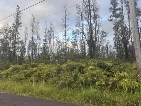 Aulii St, Kurtistown, HI 96760