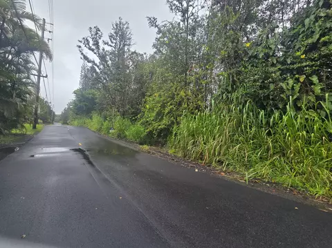 Road 1, Mountain View, HI 96760