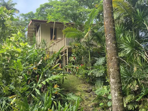 17-4013 Kuaaina Rd, Kurtistown, HI 96760