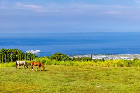 74-4990 Mamalahoa Hwy, Holualoa, HI 96725