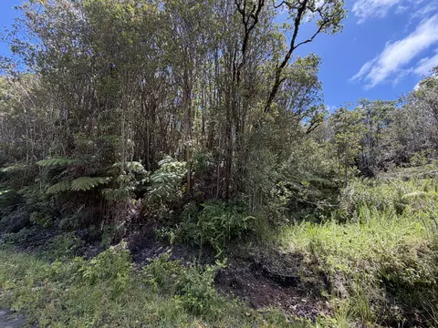 Road 7, Mountain View, HI 96771 photo 4